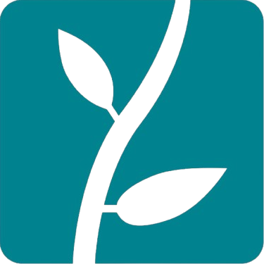 Lumion logo